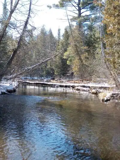 Luzerne Boardwalk for the shore to shore horseback and hiking trail. - Big Creek Township,