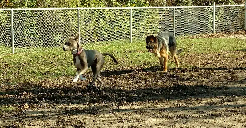 Brutus Dog Park - Big Rapids, MI