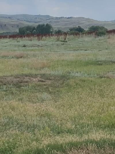 Greycliff Prairie Dog Town State Park - Big Timber, MT