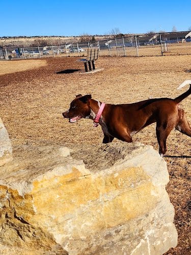 Centennial Dog Park
