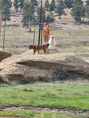 High Sierra Dog Park