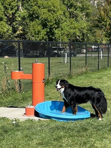 North Park Dog Park