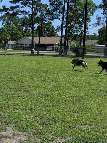 Popp’s Ferry Dog Park