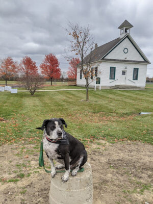 Birch Run Community Park