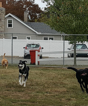 Danielle Ruiz-Murphy Center for Animal Welfare and Dog Park