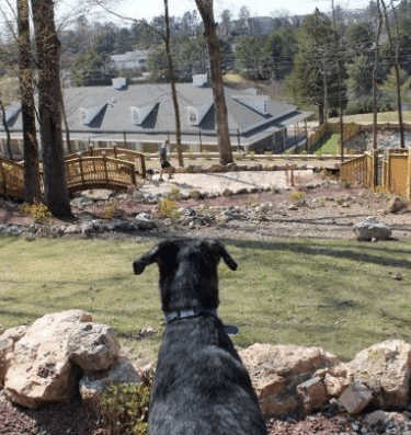 Cahaba Beach Dog Park