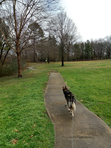 Green Springs Dog Park