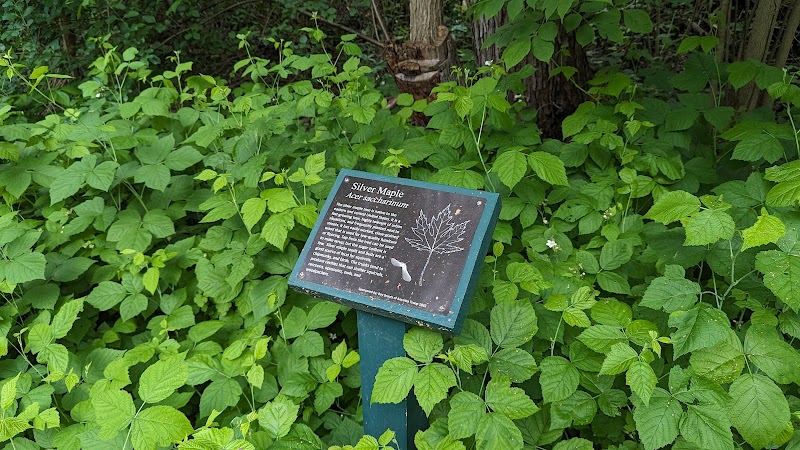 Linden Park - Birmingham,