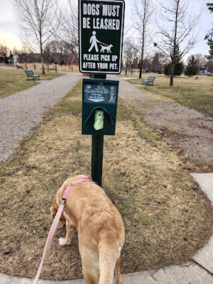 Barnum Park