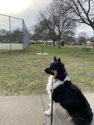 Crestview Park