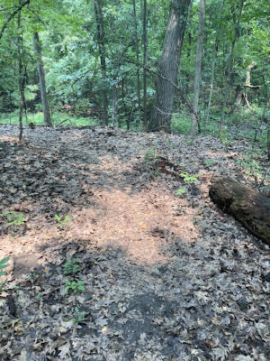 Manor Nature Preserve