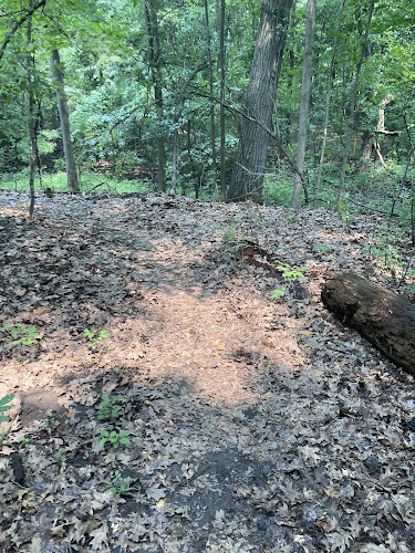 Manor Nature Preserve