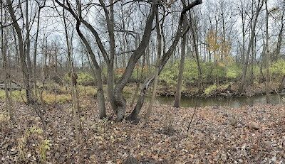 Park Trail Birmingham - Birmingham,