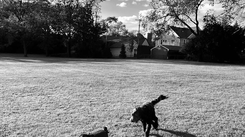 Poppleton Park - Birmingham,