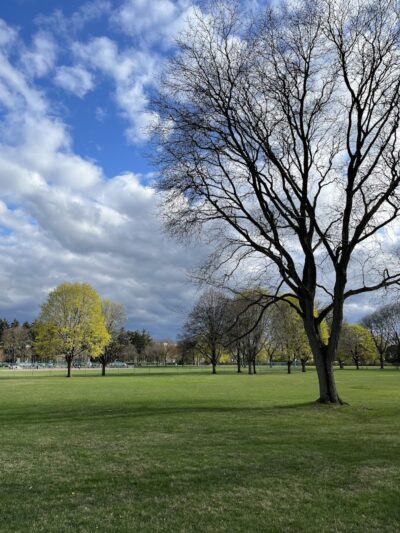 Poppleton Park - Birmingham,