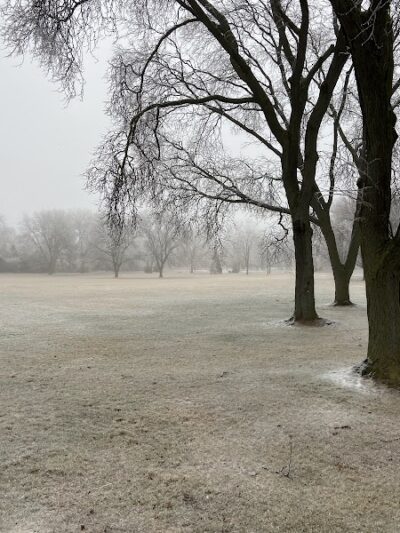 Poppleton Park - Birmingham,