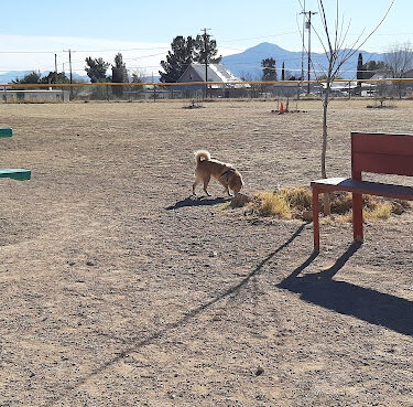 Bisbee Dog Park