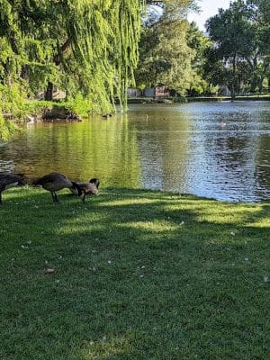 Bishop Dog Park