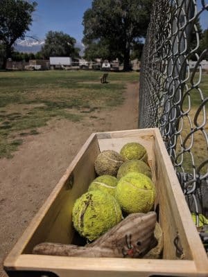 Bishop Dog Park