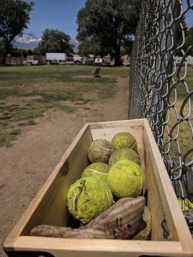 Bishop Dog Park
