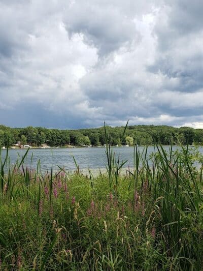 Pettibone Lake County Park - Bitely, MI
