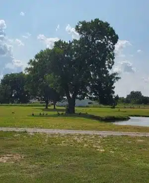Amanda's Private Dog Park