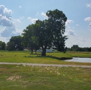 Amanda's Private Dog Park