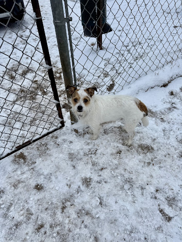 Pet Park