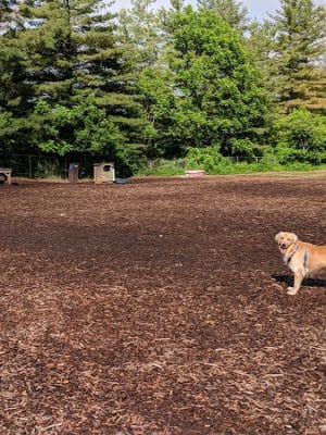 Blacksburg Dog Park - Blacksburg, VA