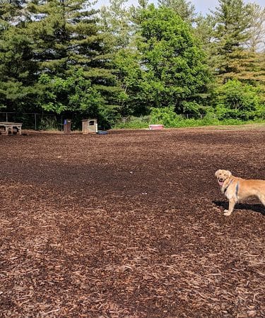 Blacksburg Dog Park