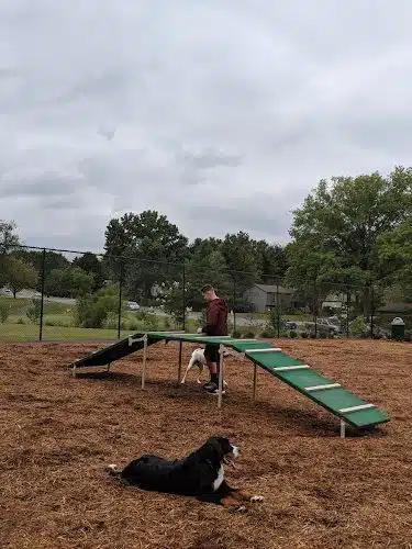 The Dog Park - Blacksburg, VA