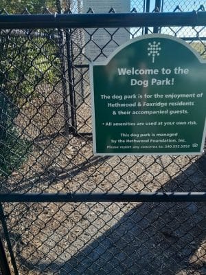 The Dog Park