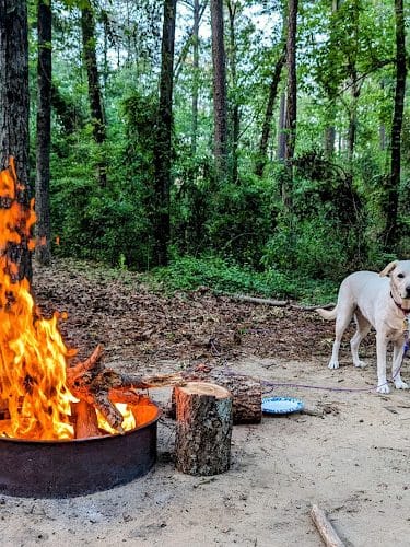 Barnwell State Park