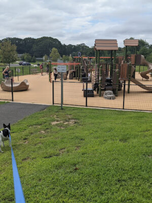 Timber Creek Dog Park