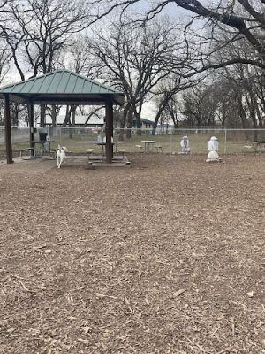 Swanson Dog Park