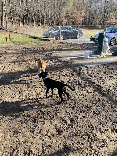 Farmers Barket Dog Park - Blairsville, GA