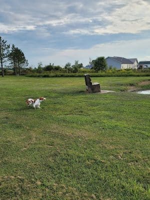 Tom Harvey Memorial Dog Park
