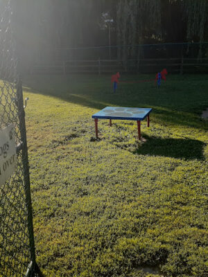 Dog Park @Bachmayer Park