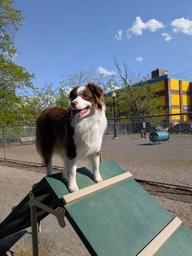 Watsessing Park