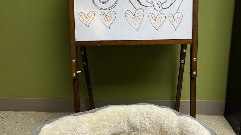 4 Paws Community Center - Bloomfield Township,