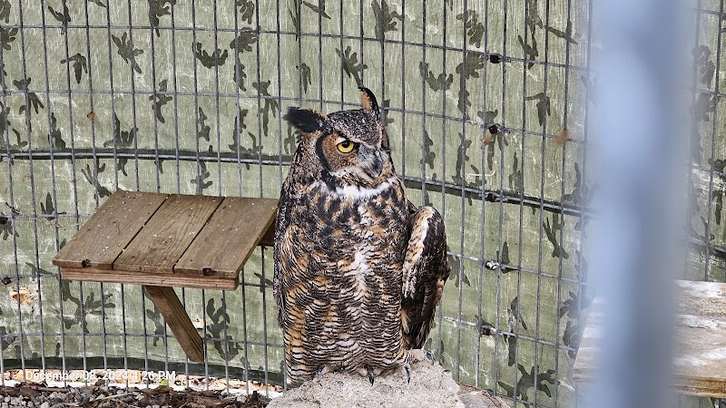 Johnson Nature Center - Bloomfield Township,