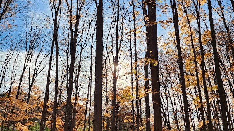 Johnson Nature Center - Bloomfield Township,