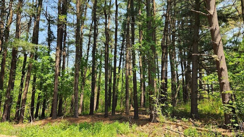 Johnson Nature Center - Bloomfield Township,