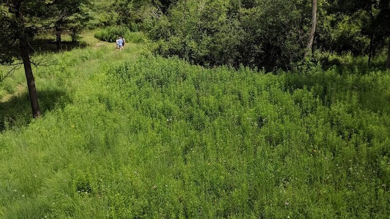 Johnson Nature Center - Bloomfield Township,