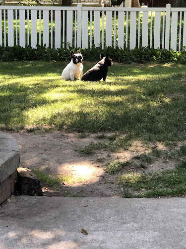 4 Paws Community Center