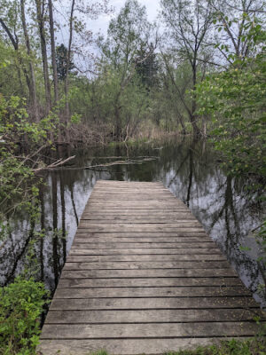 Johnson Nature Center