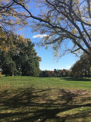 Springdale Park