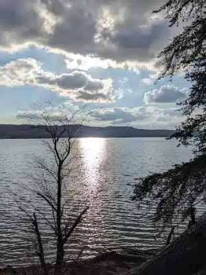 Amy Weingartner Branigin Peninsula Preserve