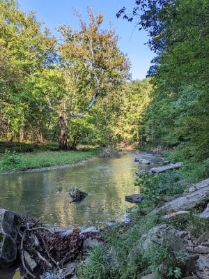 Cedar Bluffs Nature Preserve