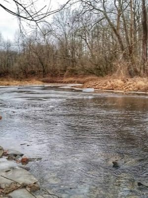 Cedar Bluffs Nature Preserve